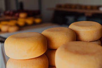 Image showing A large storehouse of manufactured cheese standing on the shelves ready to be transported to markets