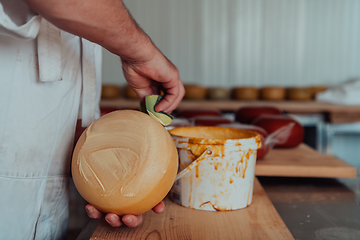 Image showing Cheese maker working in the industry for manual production of homemade cheese