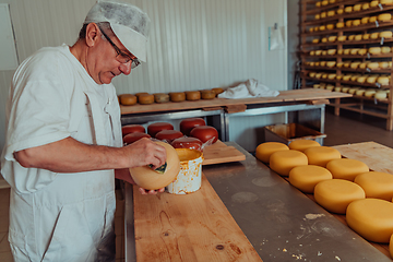 Image showing Cheese maker working in the industry for manual production of homemade cheese