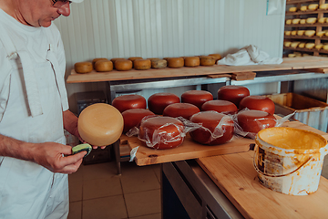 Image showing Cheese maker working in the industry for manual production of homemade cheese