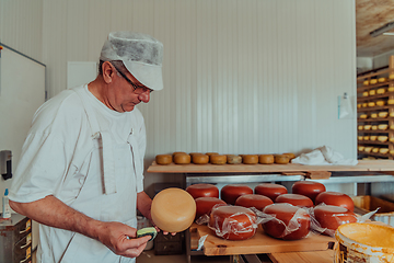 Image showing Cheese maker working in the industry for manual production of homemade cheese