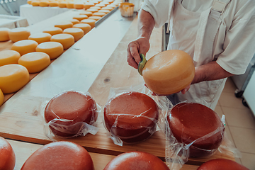 Image showing Cheese maker working in the industry for manual production of homemade cheese