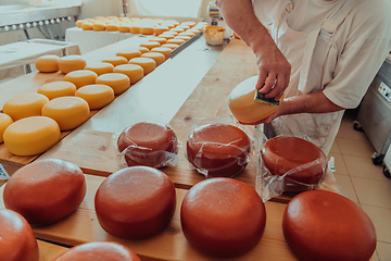 Image showing Cheese maker working in the industry for manual production of homemade cheese