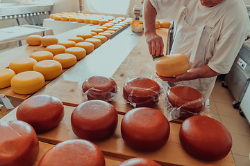 Image showing Cheese maker working in the industry for manual production of homemade cheese