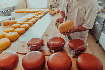 Image showing Cheese maker working in the industry for manual production of homemade cheese