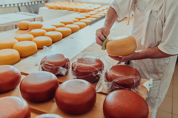 Image showing Cheese maker working in the industry for manual production of homemade cheese