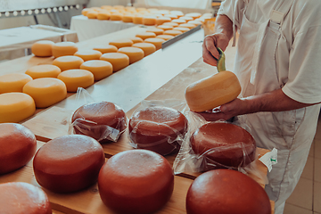 Image showing Cheese maker working in the industry for manual production of homemade cheese