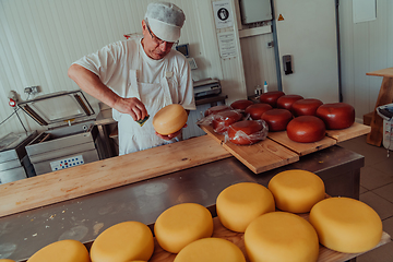 Image showing Cheese maker working in the industry for manual production of homemade cheese