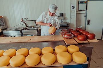 Image showing Cheese maker working in the industry for manual production of homemade cheese