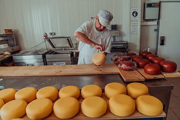 Image showing Cheese maker working in the industry for manual production of homemade cheese