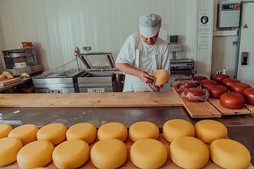 Image showing Cheese maker working in the industry for manual production of homemade cheese