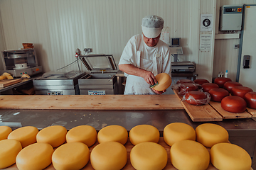 Image showing Cheese maker working in the industry for manual production of homemade cheese