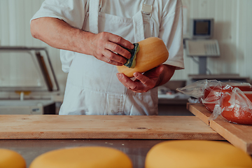 Image showing Cheese maker working in the industry for manual production of homemade cheese