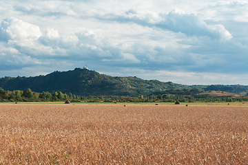 Image showing wheat field on sunset