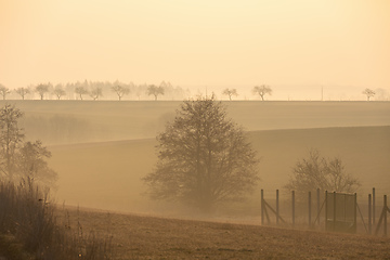 Image showing Spring foggy and misty sunrise landscape