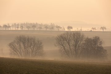 Image showing Spring foggy and misty sunrise landscape