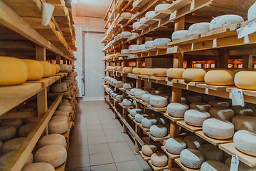 Image showing A large storehouse of manufactured cheese standing on the shelves ready to be transported to markets