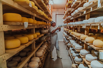 Image showing A worker at a cheese factory sorting freshly processed cheese on drying shelves