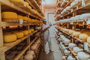 Image showing A worker at a cheese factory sorting freshly processed cheese on drying shelves