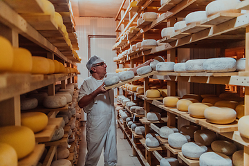 Image showing A worker at a cheese factory sorting freshly processed cheese on drying shelves