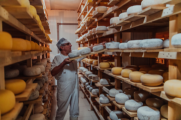 Image showing A worker at a cheese factory sorting freshly processed cheese on drying shelves