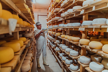 Image showing A worker at a cheese factory sorting freshly processed cheese on drying shelves