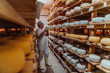 Image showing A worker at a cheese factory sorting freshly processed cheese on drying shelves