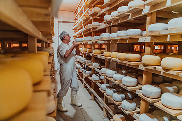 Image showing A worker at a cheese factory sorting freshly processed cheese on drying shelves