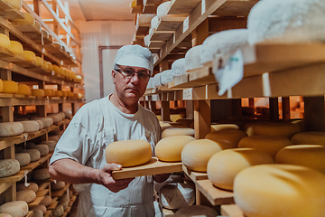 Image showing A worker at a cheese factory sorting freshly processed cheese on drying shelves