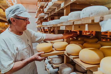 Image showing A worker at a cheese factory sorting freshly processed cheese on drying shelves