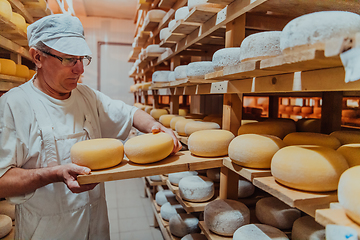 Image showing A worker at a cheese factory sorting freshly processed cheese on drying shelves