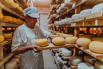 Image showing A worker at a cheese factory sorting freshly processed cheese on drying shelves