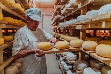 Image showing A worker at a cheese factory sorting freshly processed cheese on drying shelves