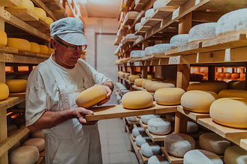 Image showing A worker at a cheese factory sorting freshly processed cheese on drying shelves