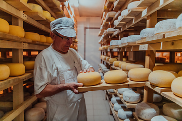 Image showing A worker at a cheese factory sorting freshly processed cheese on drying shelves