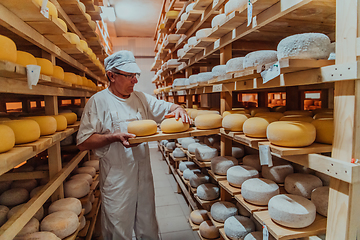 Image showing A worker at a cheese factory sorting freshly processed cheese on drying shelves