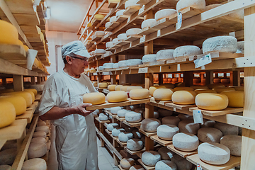 Image showing A worker at a cheese factory sorting freshly processed cheese on drying shelves