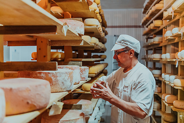 Image showing A worker at a cheese factory sorting freshly processed cheese on drying shelves