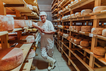 Image showing A worker at a cheese factory sorting freshly processed cheese on drying shelves