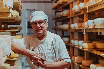 Image showing A worker at a cheese factory sorting freshly processed cheese on drying shelves