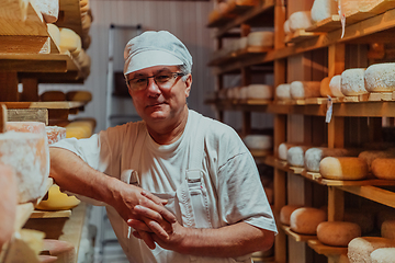 Image showing A worker at a cheese factory sorting freshly processed cheese on drying shelves