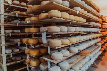 Image showing A large storehouse of manufactured cheese standing on the shelves ready to be transported to markets