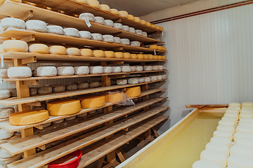 Image showing A large storehouse of manufactured cheese standing on the shelves ready to be transported to markets