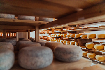 Image showing A large storehouse of manufactured cheese standing on the shelves ready to be transported to markets