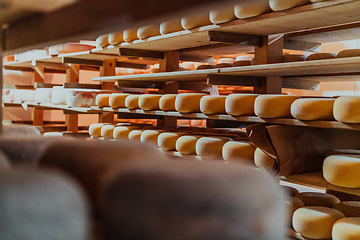 Image showing A large storehouse of manufactured cheese standing on the shelves ready to be transported to markets