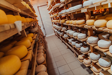 Image showing A large storehouse of manufactured cheese standing on the shelves ready to be transported to markets