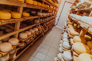 Image showing A large storehouse of manufactured cheese standing on the shelves ready to be transported to markets