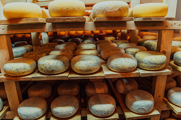 Image showing A large storehouse of manufactured cheese standing on the shelves ready to be transported to markets