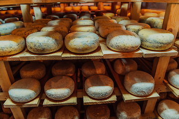 Image showing A large storehouse of manufactured cheese standing on the shelves ready to be transported to markets