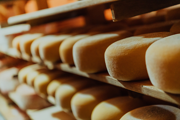 Image showing A large storehouse of manufactured cheese standing on the shelves ready to be transported to markets